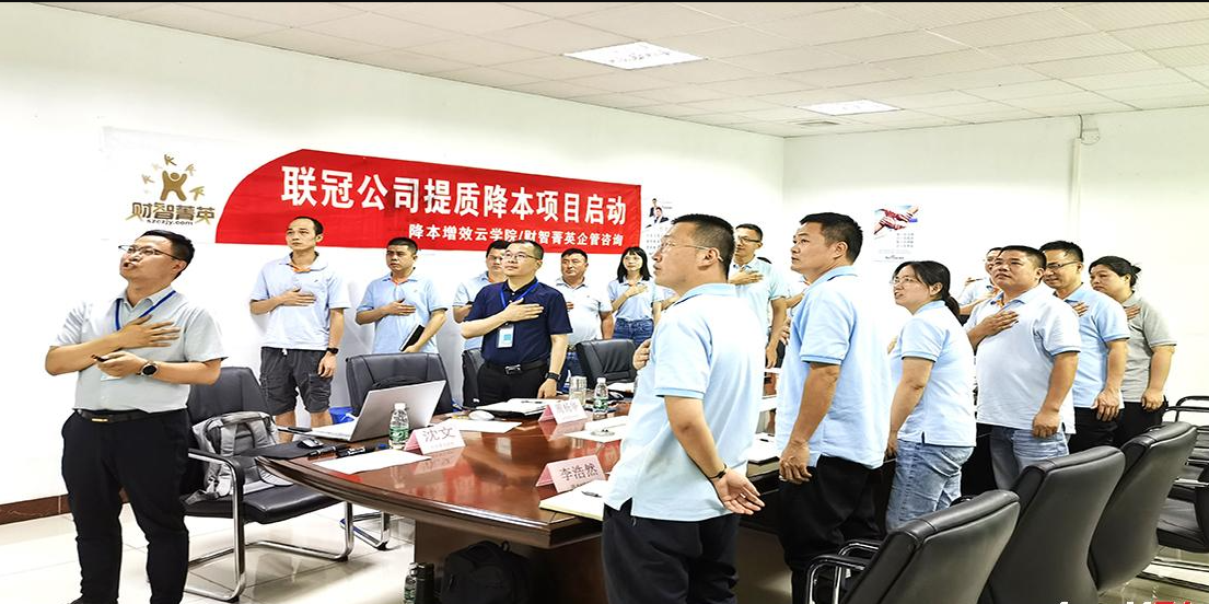 聯(lián)冠公司提質降本項目